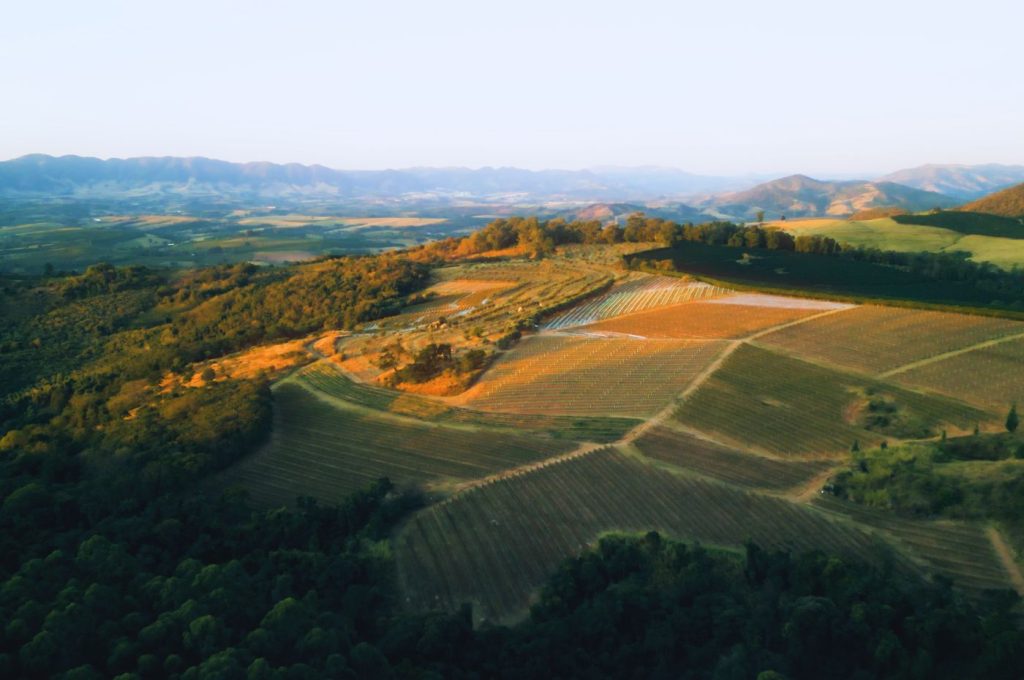 Vista área dos vinhedos da vinícola Guaspari, localizados entre 800 e 1.200 metros de altitude, em Espírito Santo do Pinhal